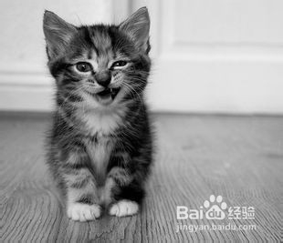 推免学校的选择