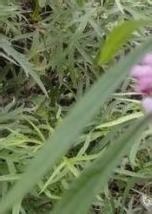 如何避免计算机伤皮肤2