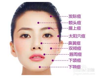 长痘痘的位置图解 百度经验