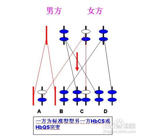 准妈妈怀孕6个月后需要做的检查