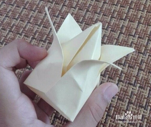 怎么折叠郁金香