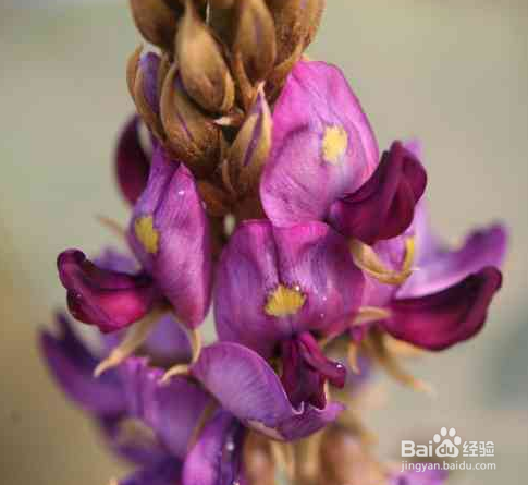 酒醉后如何正确的健康解酒