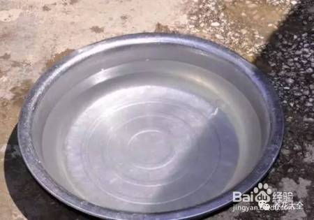 这几个夏季养花小妙招,我只偷偷告诉你!