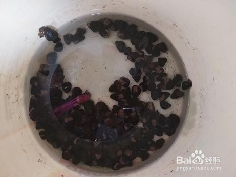 炒螺蛳的做法及配方