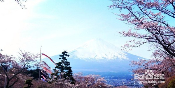 不花冤枉钱,告诉你去日本买什么东西好!
