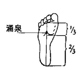 针灸保健常用穴位