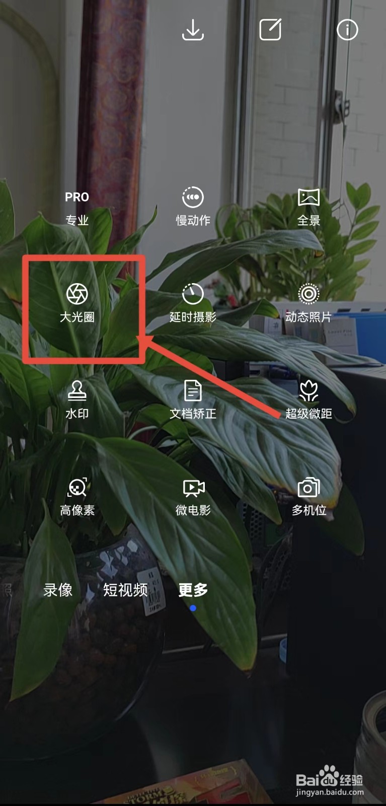 手机拍花怎么设置背景虚化