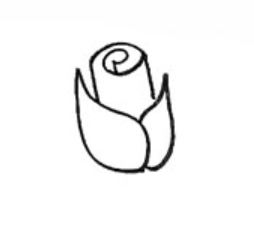 美丽玫瑰花简笔画