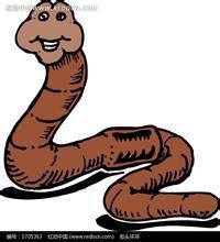 冬季怎样钓鲫鱼