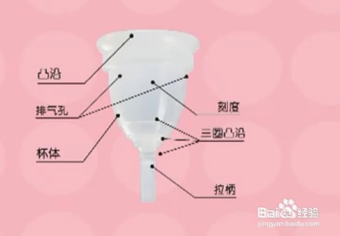 如何使用女人杯,月亮杯,月经杯。