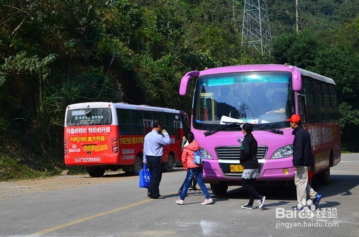 冬季徒步游广西古龙山大峡谷水帘洞
