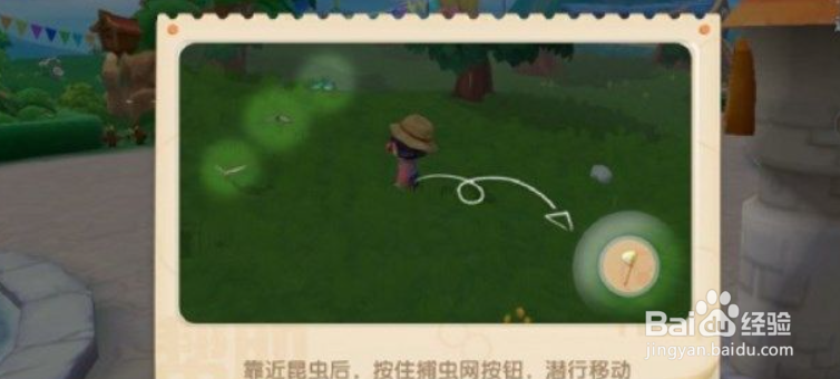 摩尔庄园怎么捕捉昆虫捕捉昆虫活动攻略