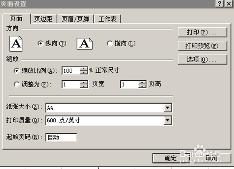在Excel的文档中如何设置页面？