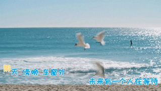 如何使视频歌曲出现字幕？