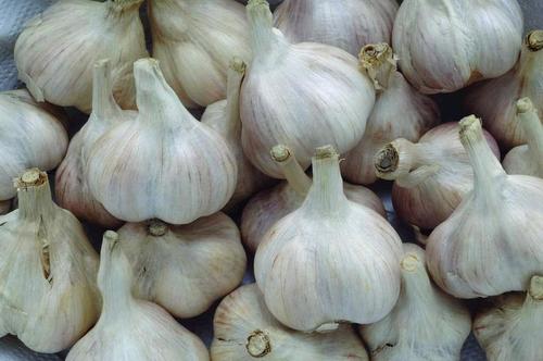 【防蚊虫】教你驱赶蚂蚁、蚊子、蟑螂的妙法