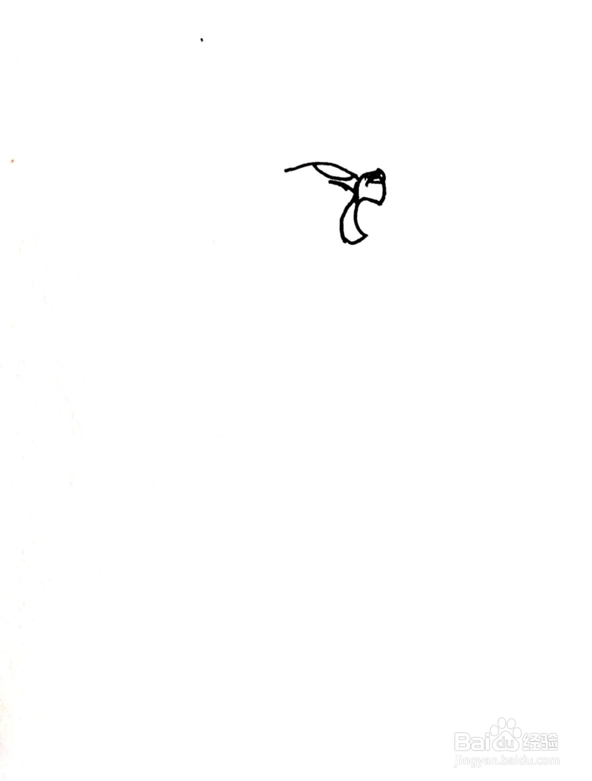 张开嘴巴的小浣熊线描画怎么画