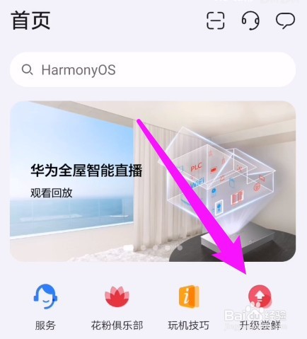 荣耀50se鸿蒙系统怎么升级