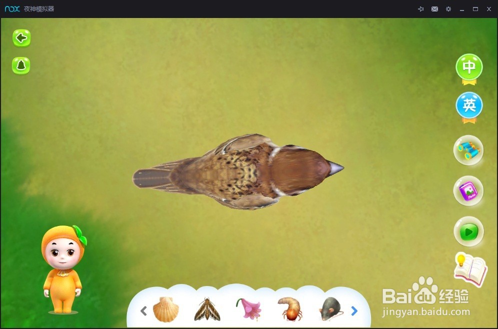 学习鸟类知识的3d软件推荐