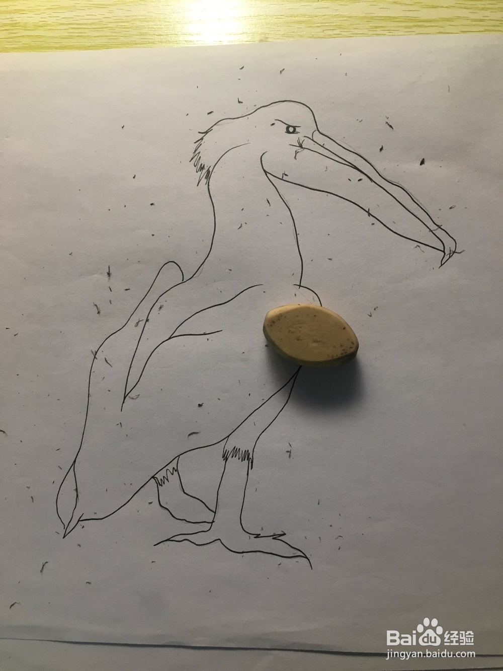 画一只长嘴巴的鸟儿 简笔画之鸟儿 儿童画 线描