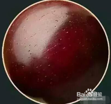 小叶紫檀泥料是什么