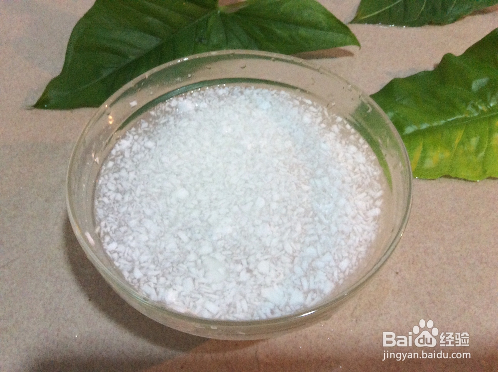 椰肉汁鲫鱼汤的做法