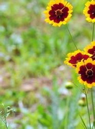 监理施工要点48