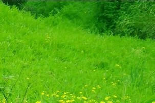 监理施工要点46