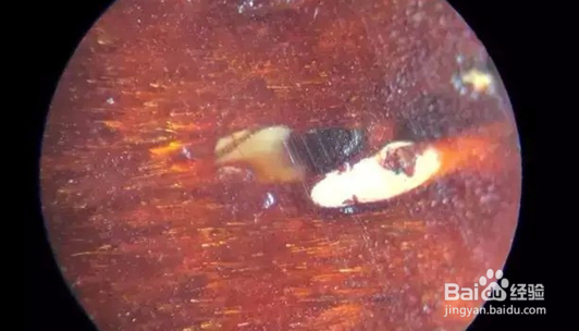 紫檀手串怎么辨别真假