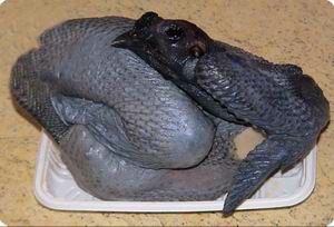 白果乌鸡汤，适合春分前后