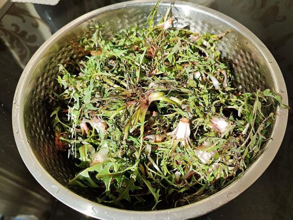 卷干豆腐无敌了