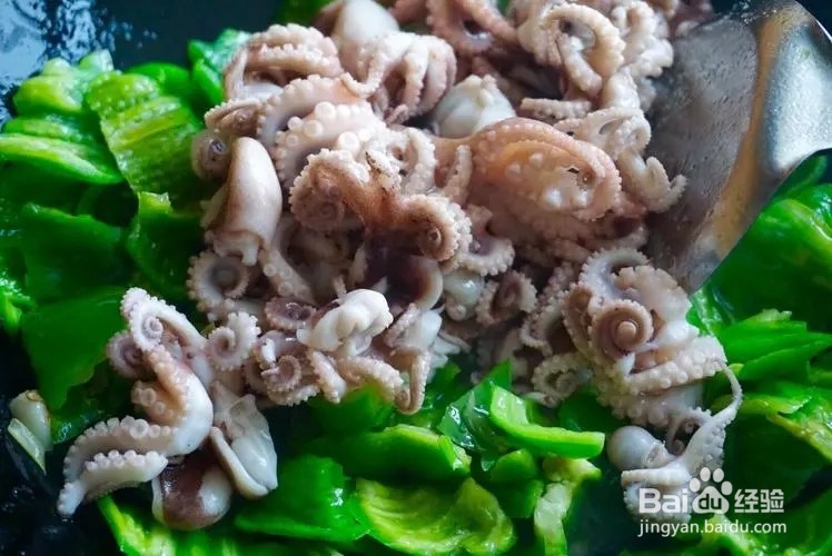 长腿巴蛸和短腿巴蛸的区别？