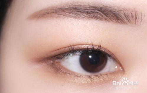 用山茶花油化大地系眼妆的方法
