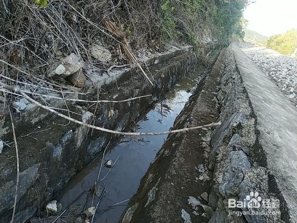 重载路堤填土压实施工流程要素有哪些？