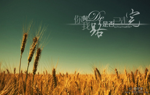 Photoshop教你调出浪漫怀旧的熏黄色调