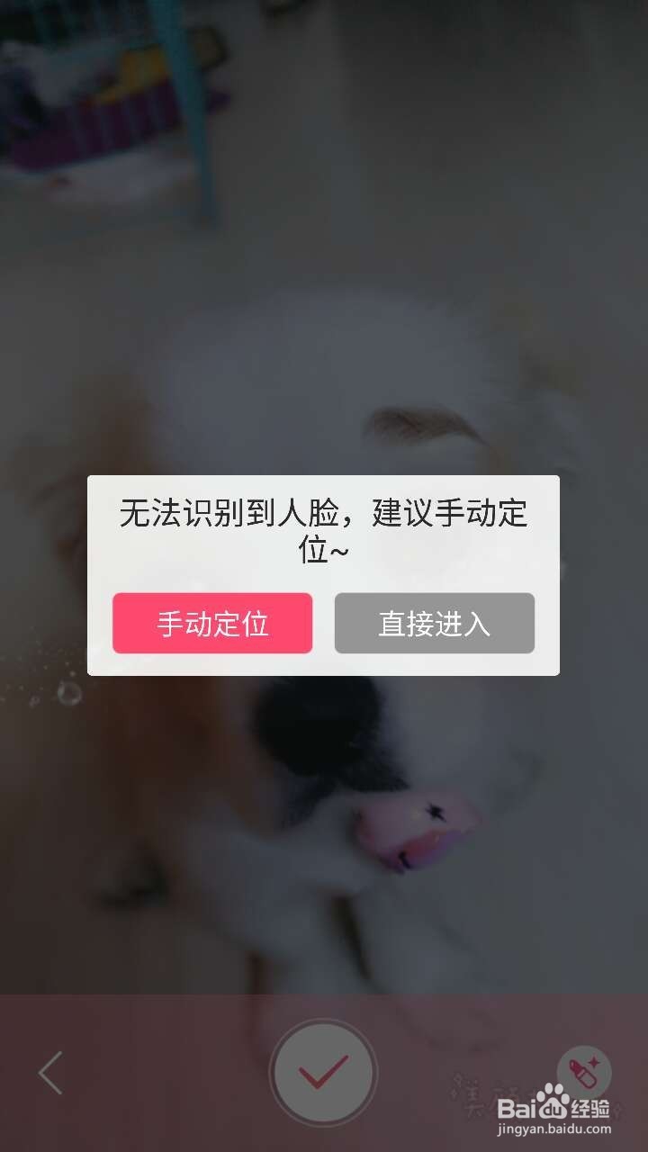 怎么用美颜相机给狗狗美颜？