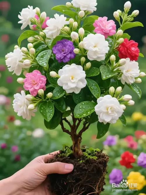 秋天可以如何养生？