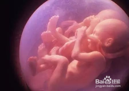 怀孕必备6个条件