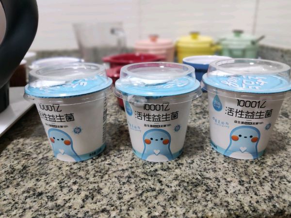 山药酸奶巴斯克