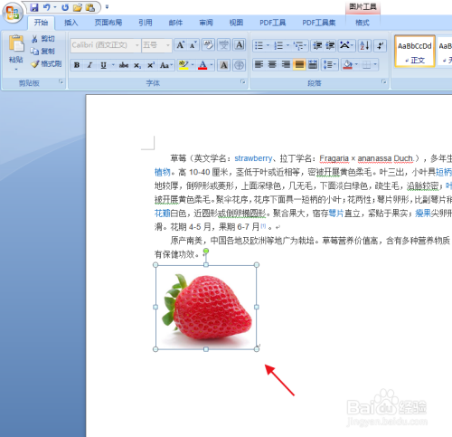 word如何移动图形图片的位置
