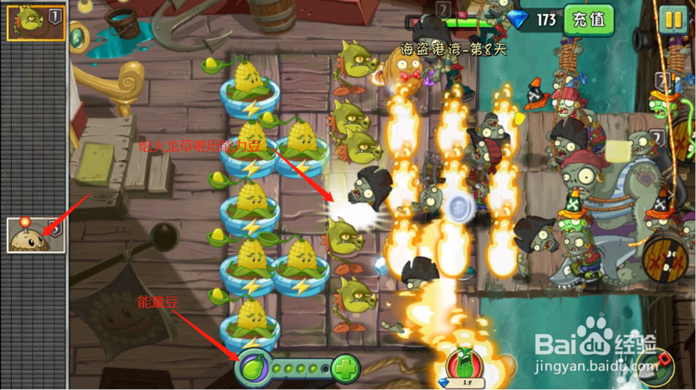 植物大战僵尸2:海盗港湾第8天怎么抵挡僵尸