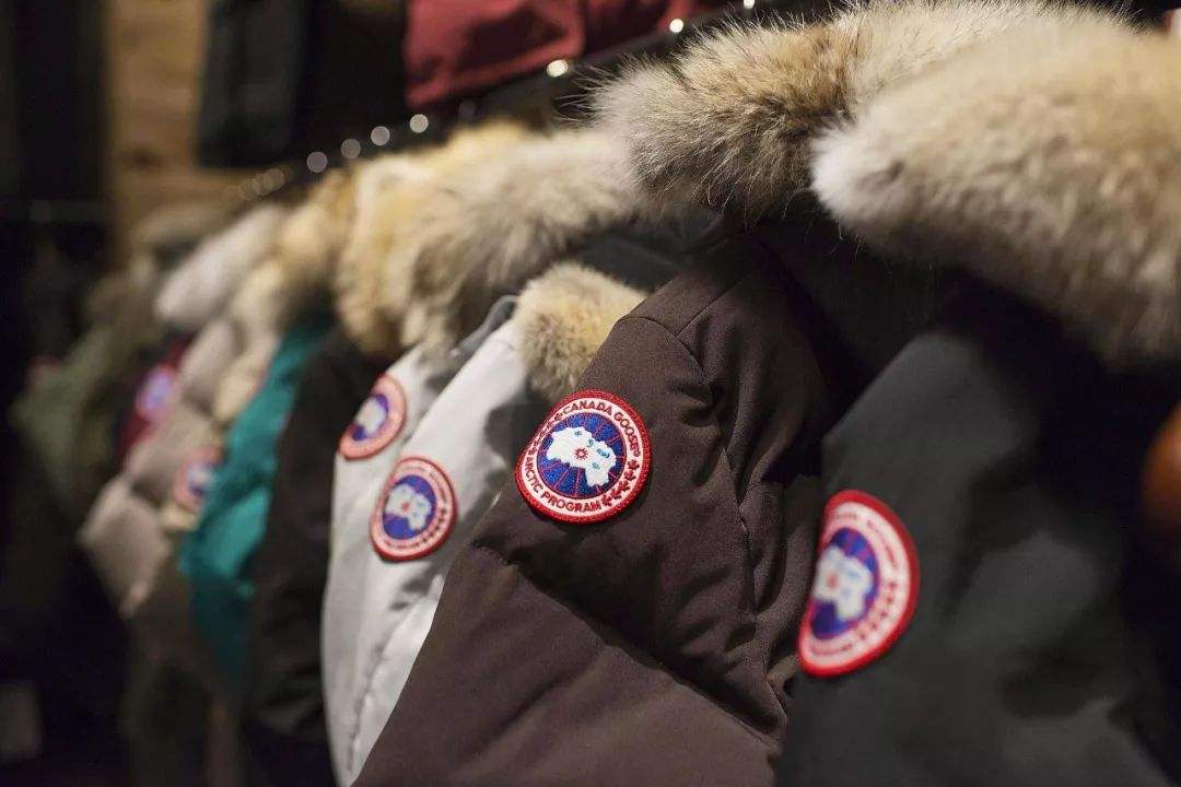 CANADAGOOSE是一种服装品牌，翻译成中文怎么读