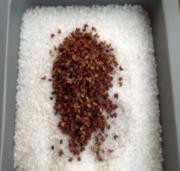 盐焗大虾怎么做好吃不腥