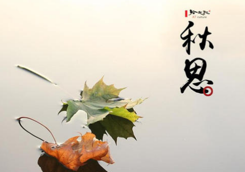 《秋思》这首诗表达了作者什么样的思想感情