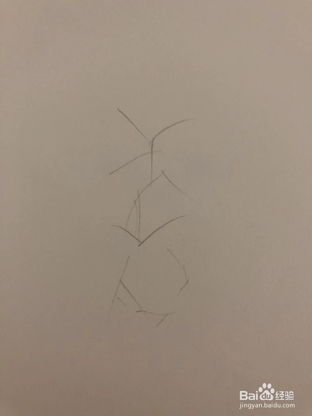 如何简笔画百合花