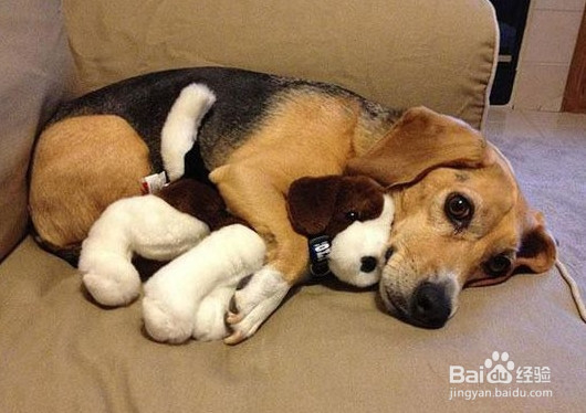 家里有异味如何去除？