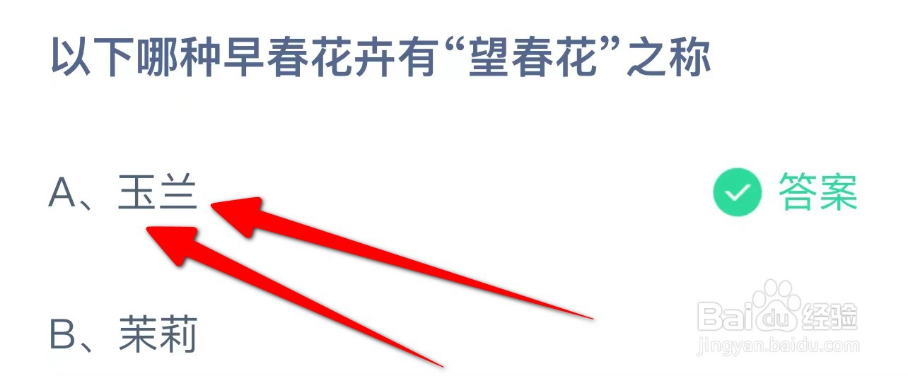 以下哪种早春花卉有“望春花”之称?