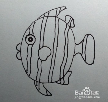 亲子简笔画，热带鱼简笔画法