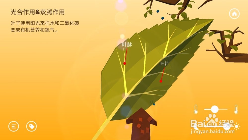 高中生物温度与光照对光合作用的影响知识点详解