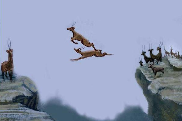 斑羚飞渡这个故事的梗概200字左右