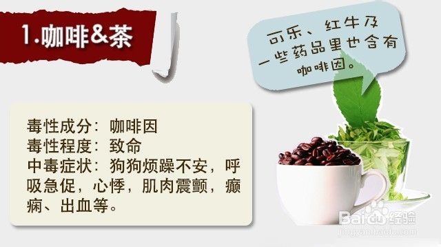 狗狗不能吃的15种食物